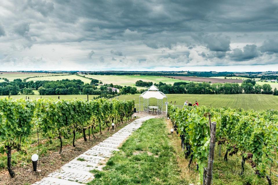 Pension Bella Vista - Winzerhof Golk Meißen Exterior foto