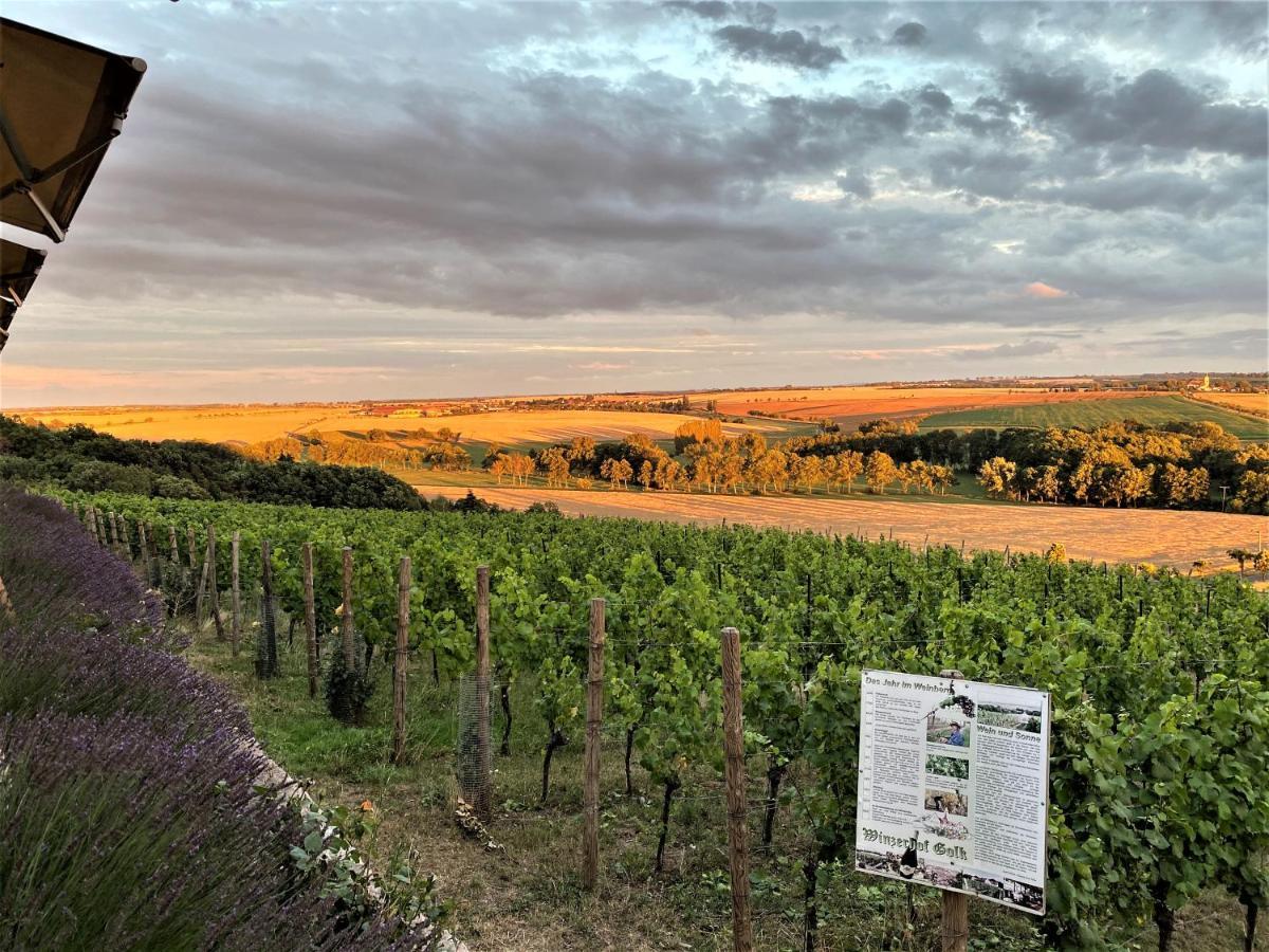 Pension Bella Vista - Winzerhof Golk Meißen Exterior foto